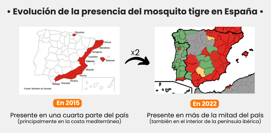 presencia mosquito tigre espana