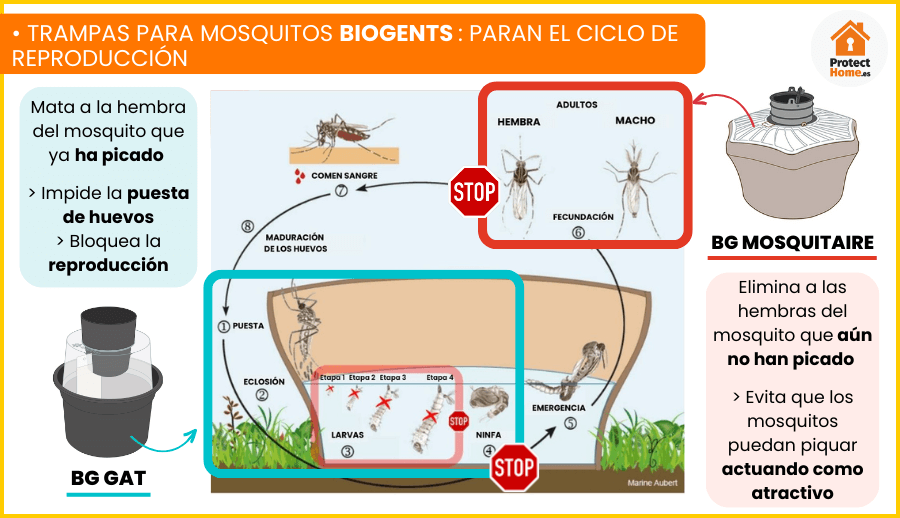 Trampas para mosquitos complementarias Biogents