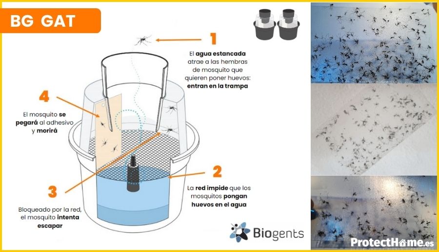 bg gat trampas para mosquitos y larvas funcionamiento