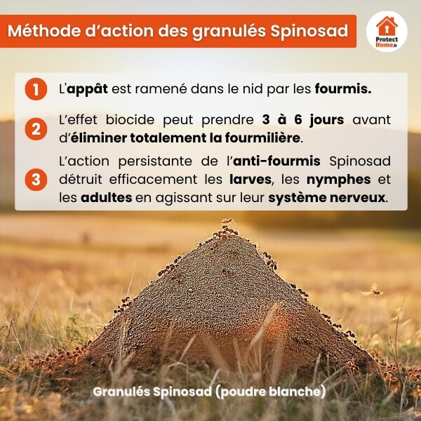 methode action spinosad fourmi