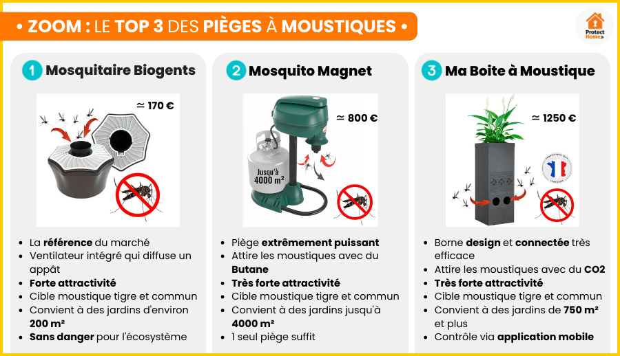 piege-moustique-culex-pipiens