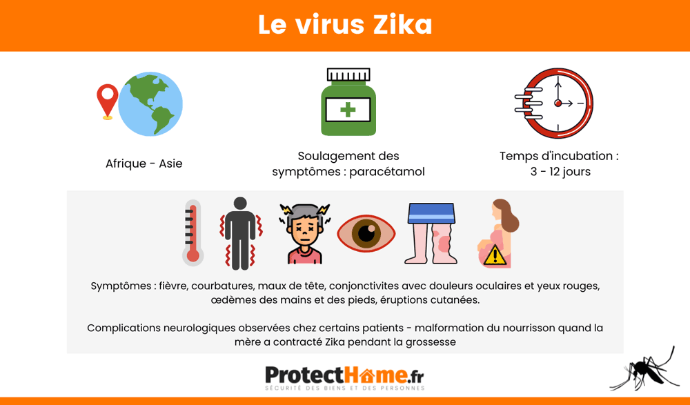 moustique virus zika