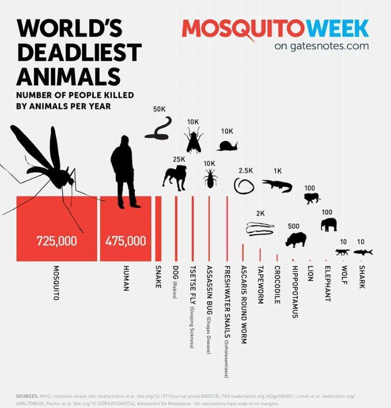 moustique dans le monde 
