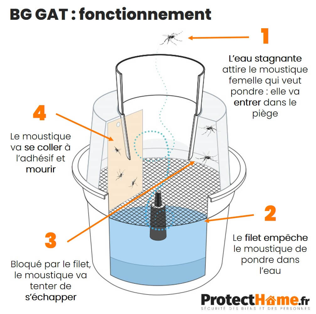 schema fonctionnement piege a moustique BG GAT
